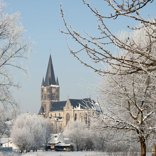 Thorn in de sneeuw